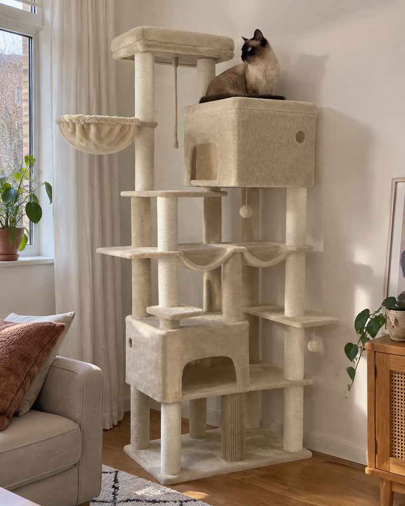 Le chat va rester en bas et ne jamais monter. · Beige — arbre a chat 2m