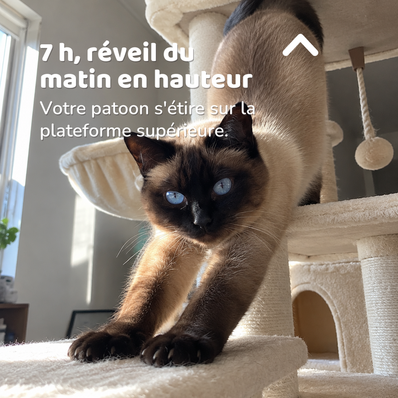 Arbre a chat 2m