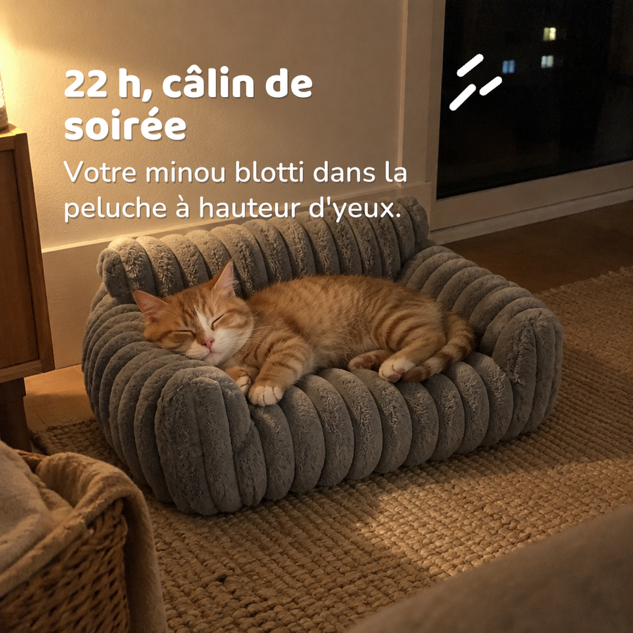 22 h, câlin de soirée — lit chaton