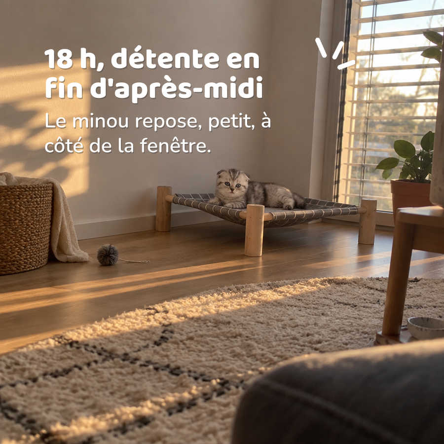 18 h, détente en fin d'après-midi — lit pour chat sur pied