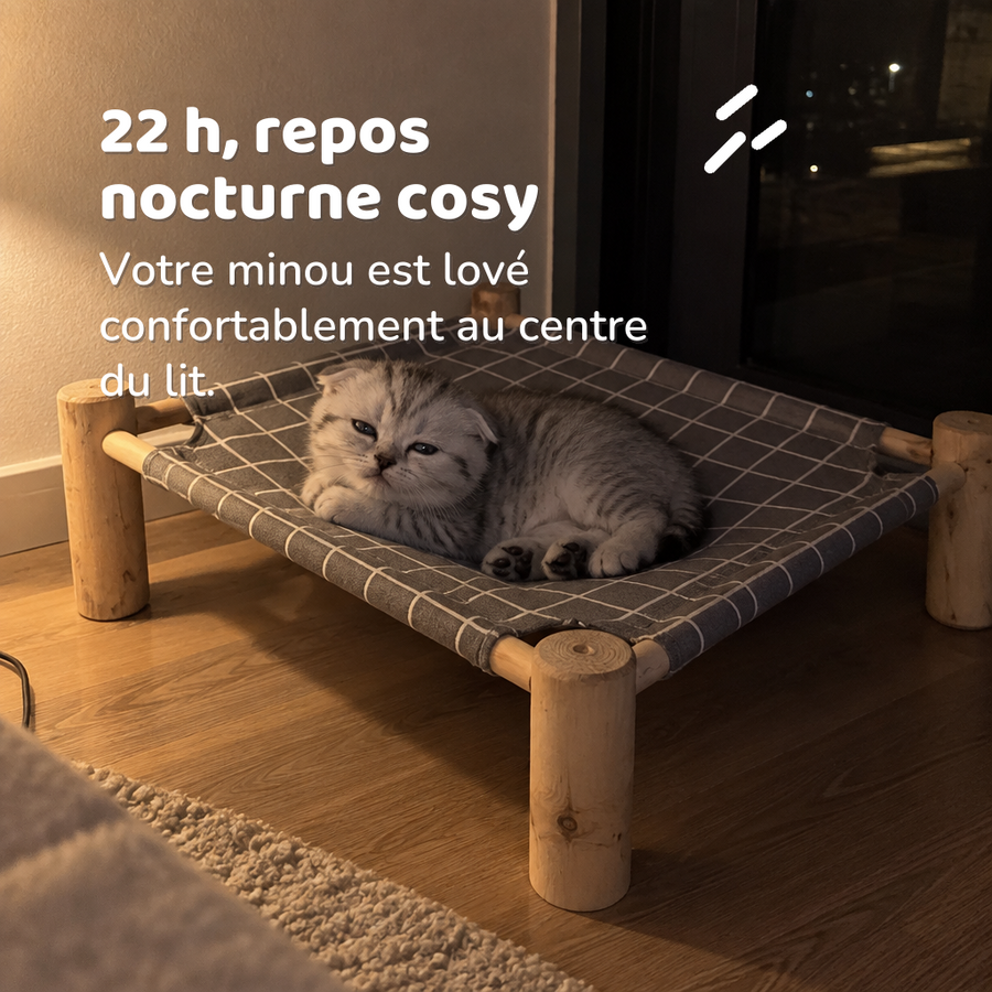 22 h, repos nocturne cosy — lit pour chat sur pied