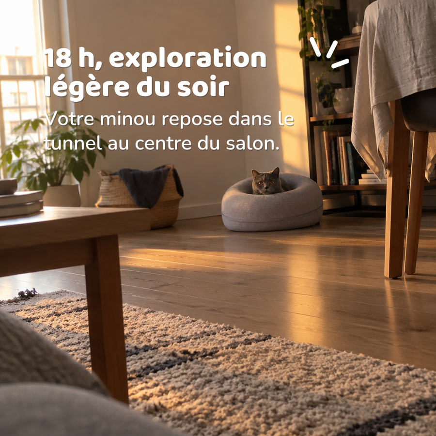 18 h, exploration légère du soir — lit tunnel chat