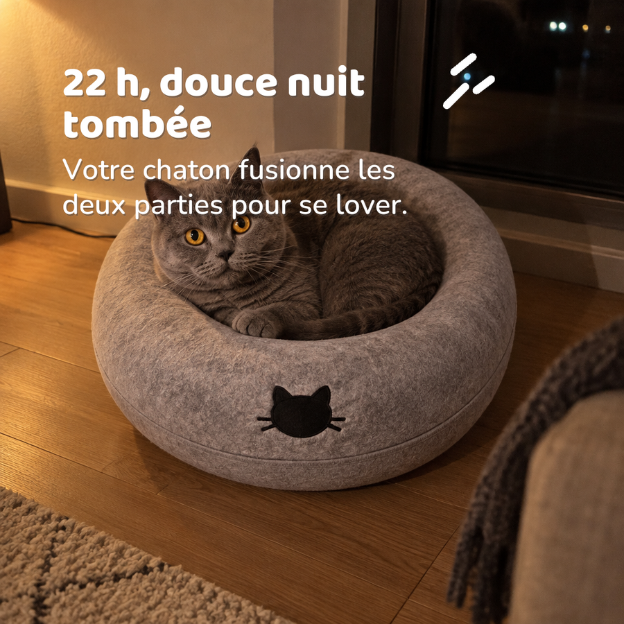 22 h, douce nuit tombée — lit tunnel chat
