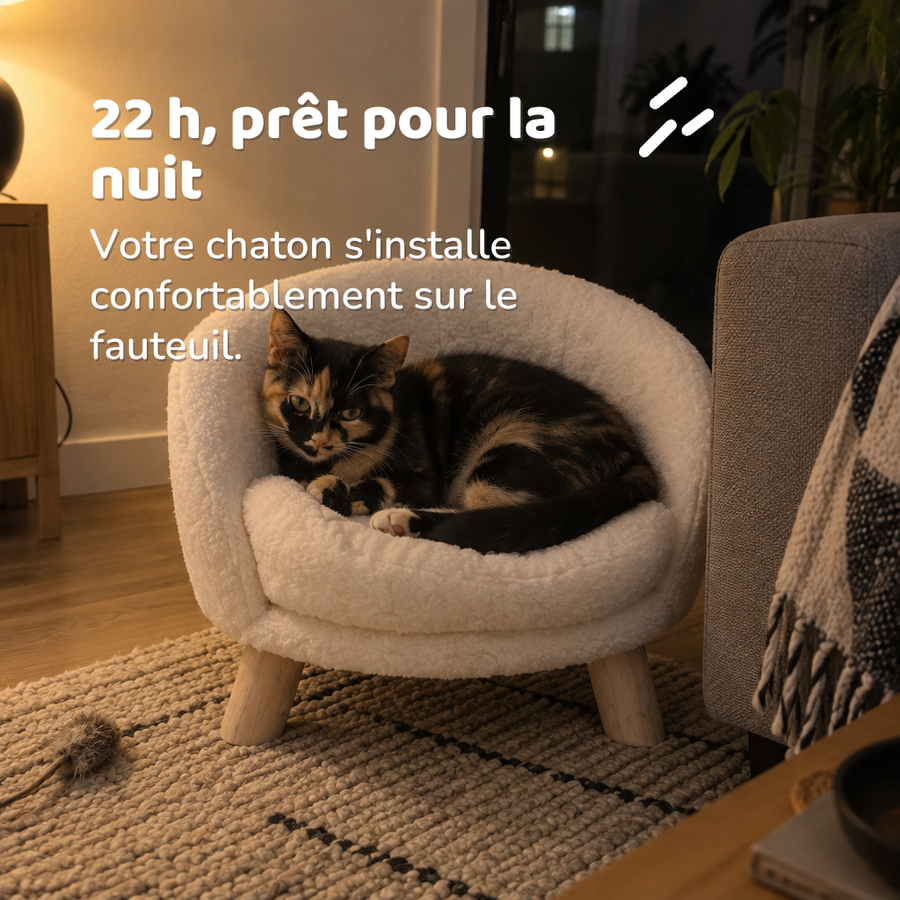 22 h, prêt pour la nuit — fauteuil pour chat