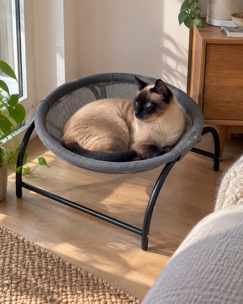 Photo principale — fauteuil suspendu pour chat