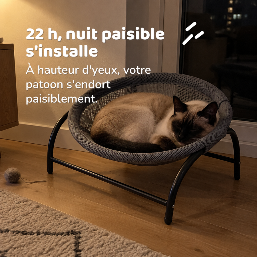 22 h, nuit paisible s'installe — fauteuil suspendu pour chat