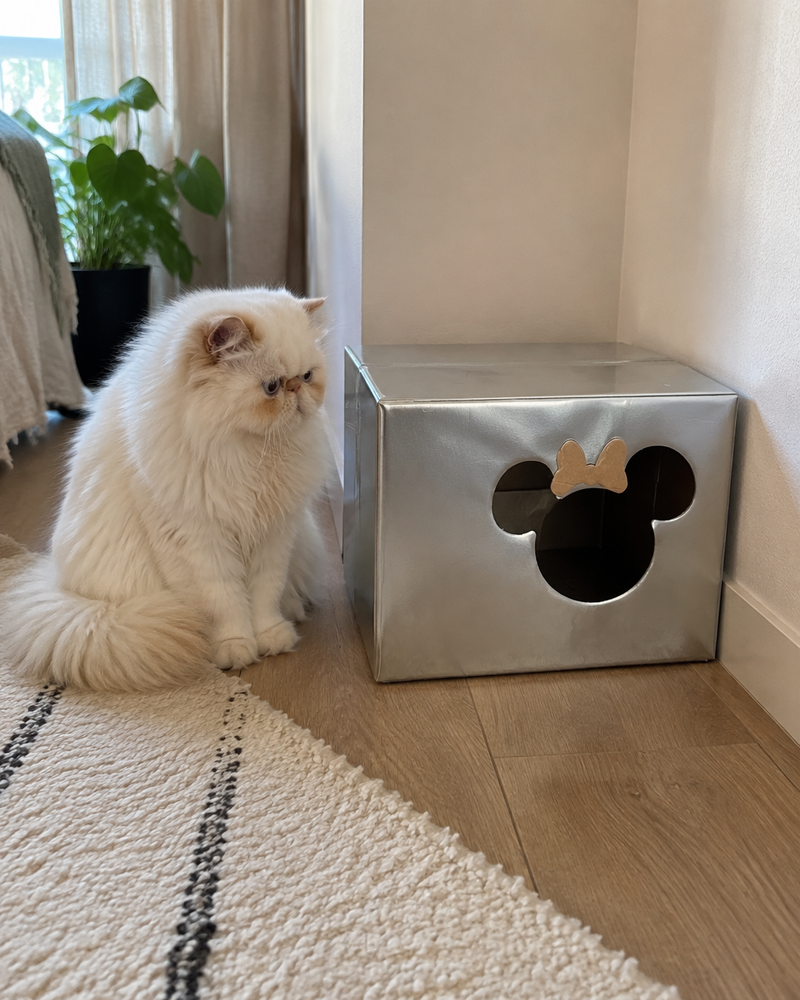 c'est trop large · Mickey — abri pour chat errant