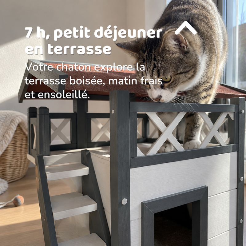 7 h, petit déjeuner en terrasse — abri exterieur chat