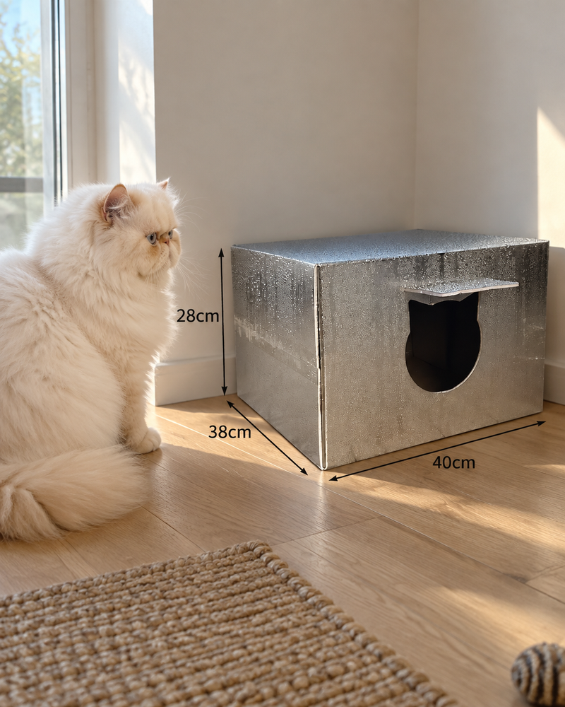 Photo · 2 — abri pour chat errant
