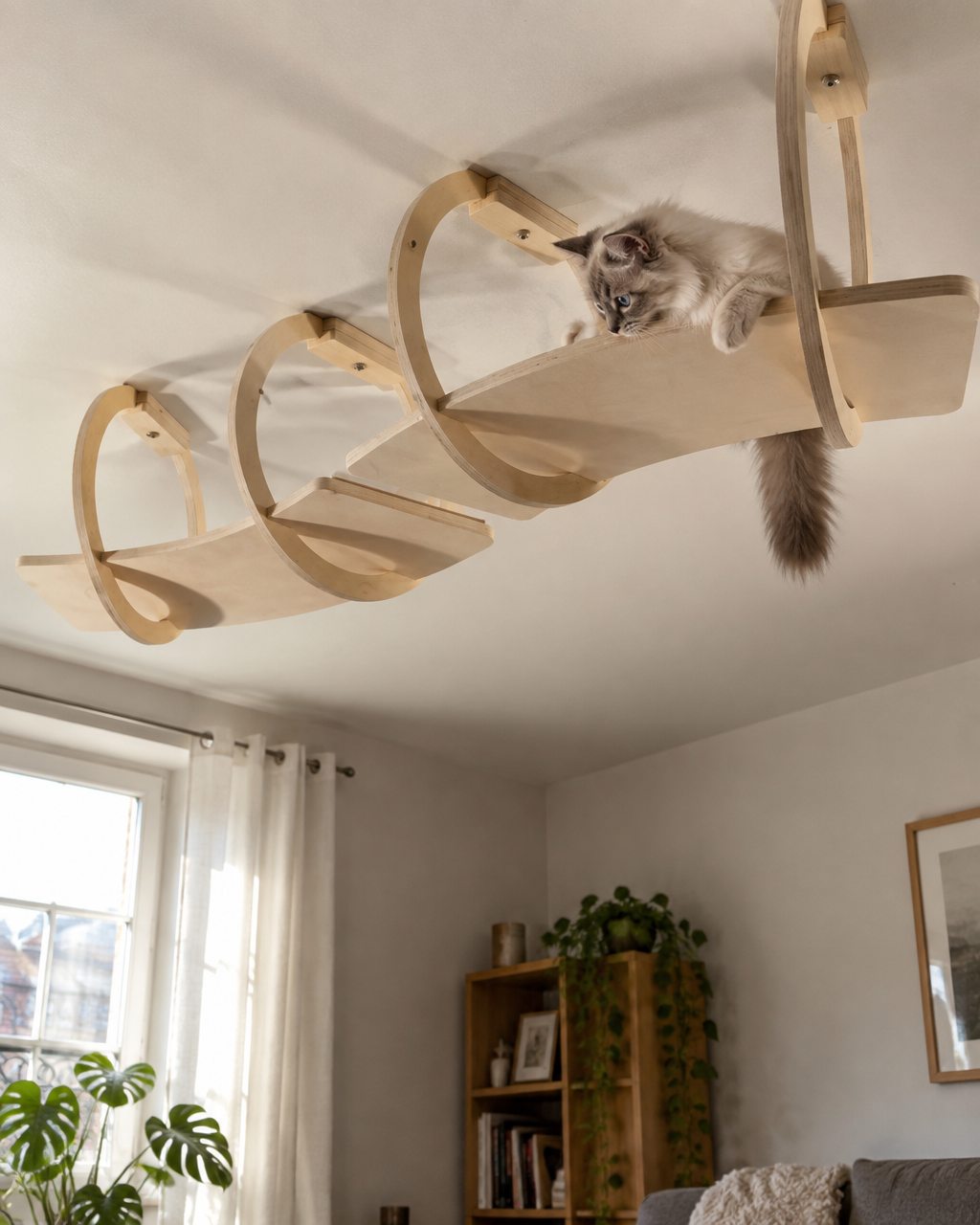 Ensemble · 1 — arbre à chat plafond bois