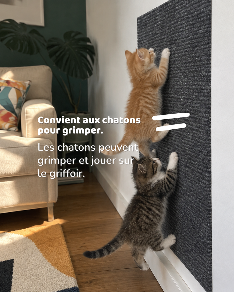 Convient aux chatons pour grimper. — Griffoir mural chat