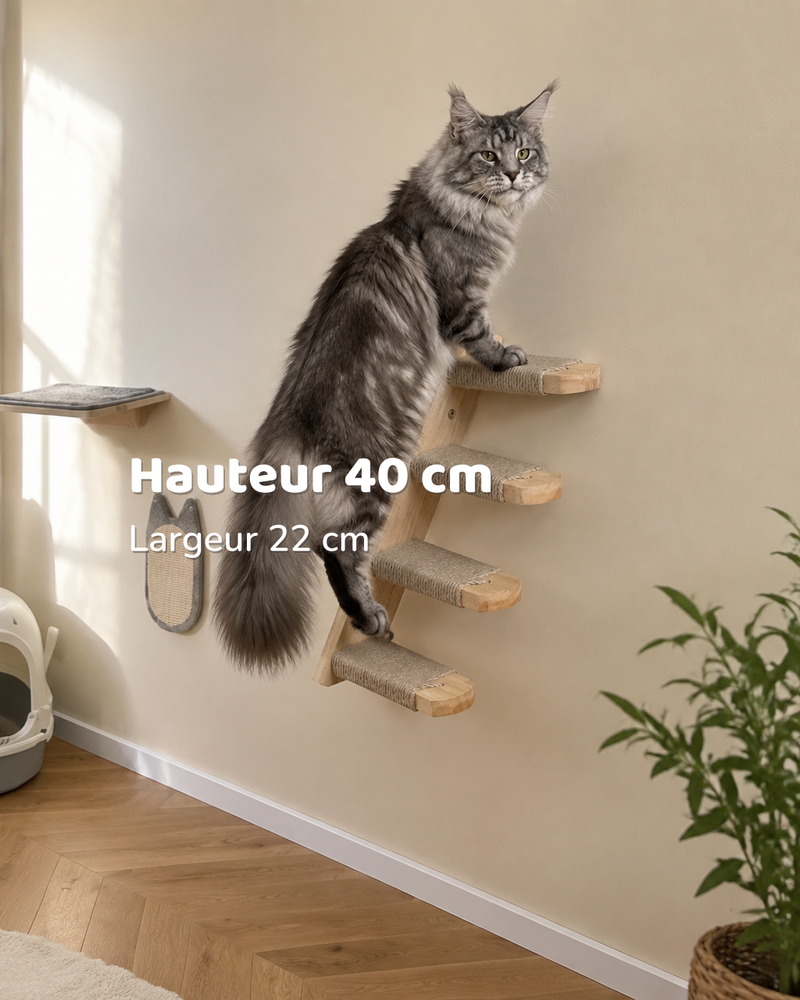 Arbre à chat mural maine coon