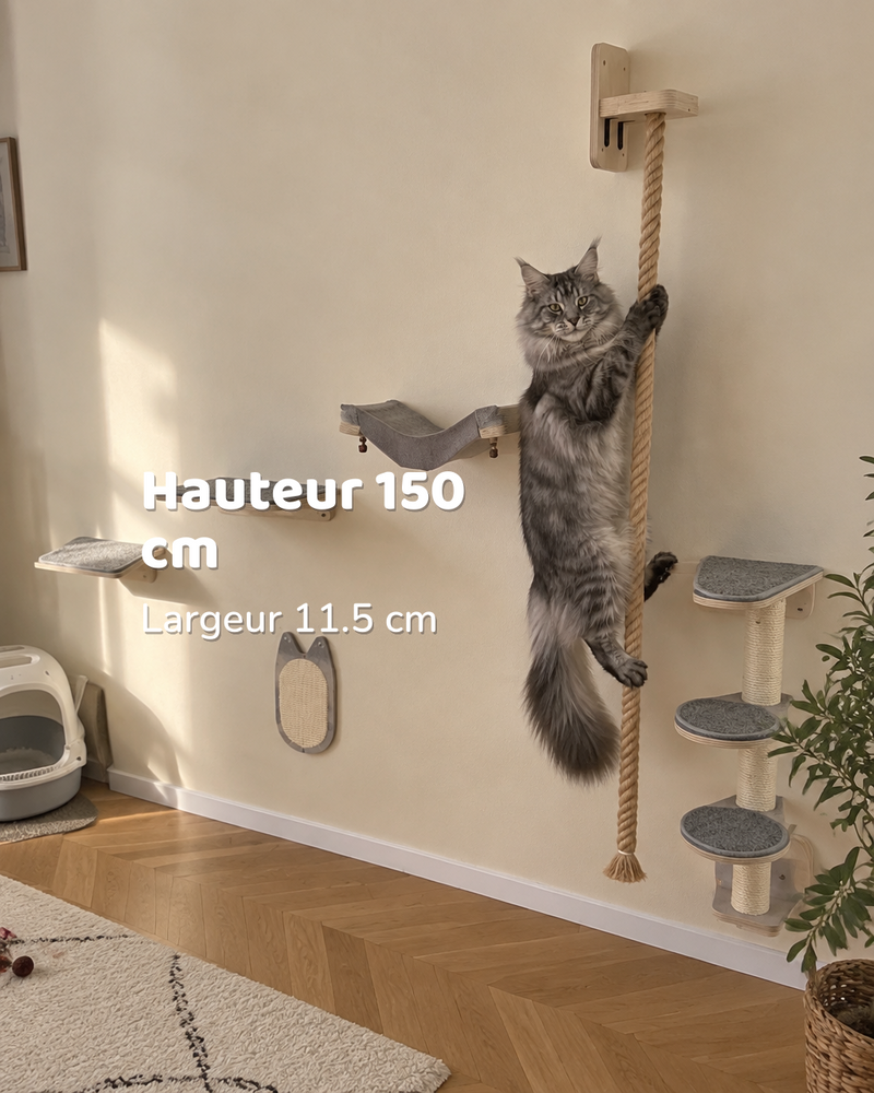 Arbre à chat mural maine coon