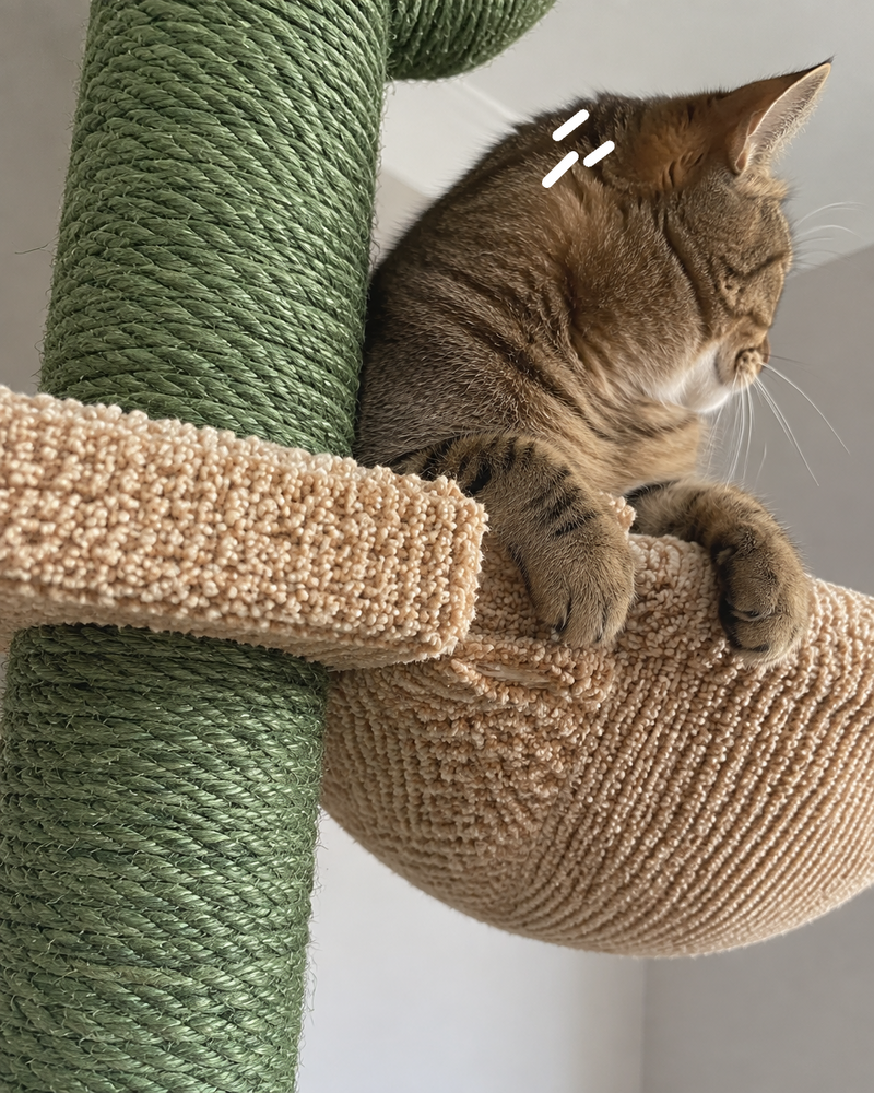 Il va s'effondrer sous le poids du chat. · AMT0187GN — arbre à chat original bois