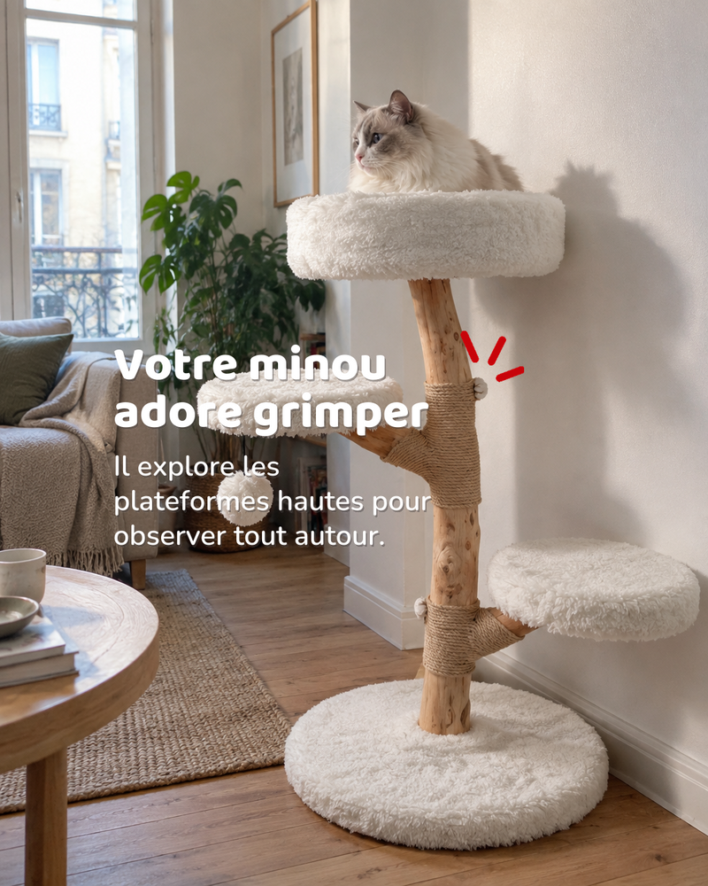 Arbre à chat tronc naturel