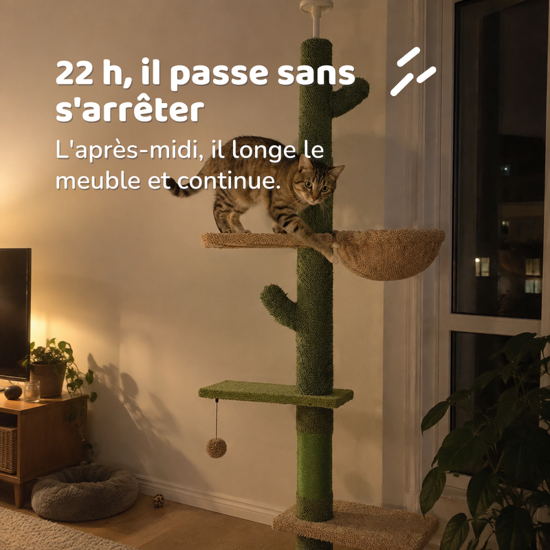Arbre à chat original bois