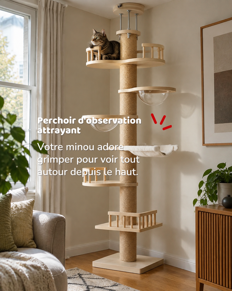 Arbre à chat gros tronc