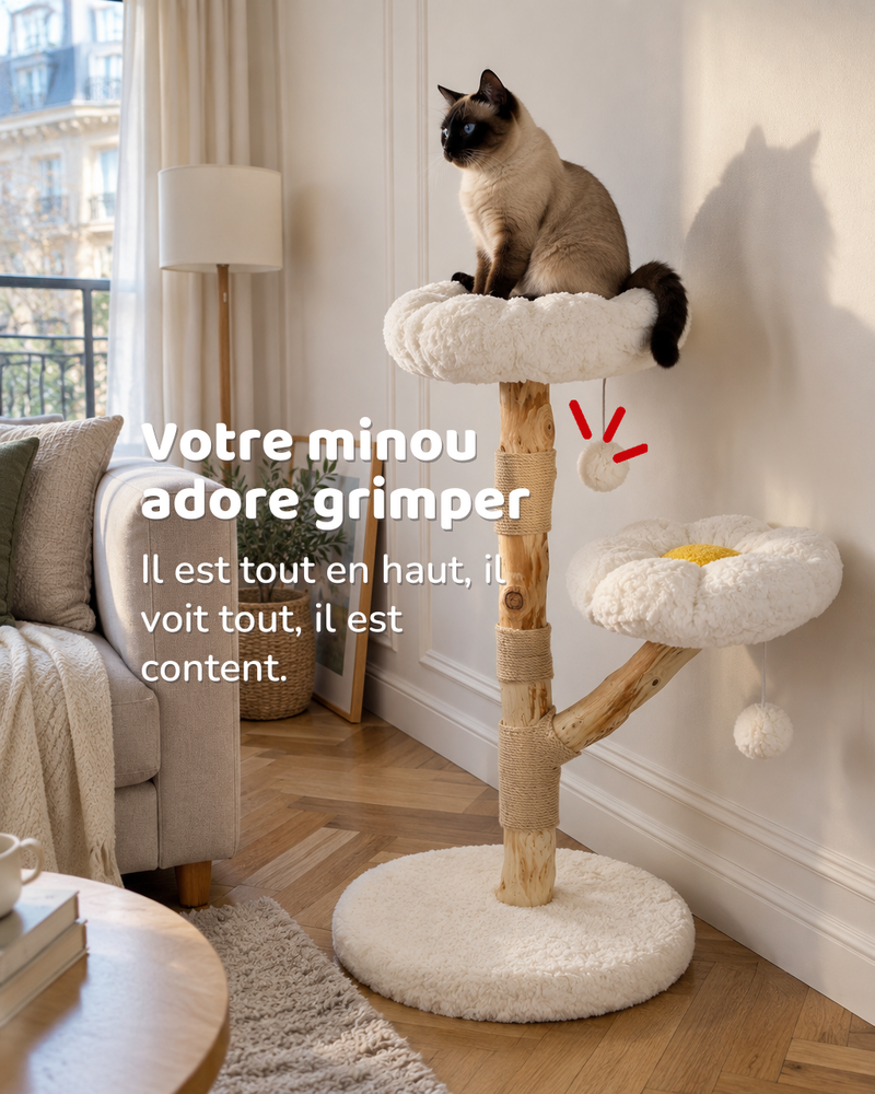 Arbre à chat naturel