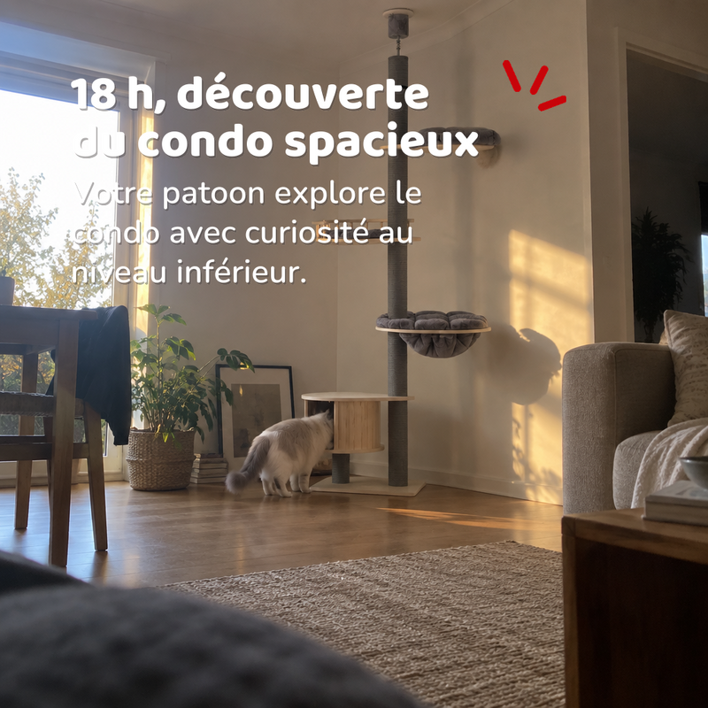 Arbre a chat plafond design