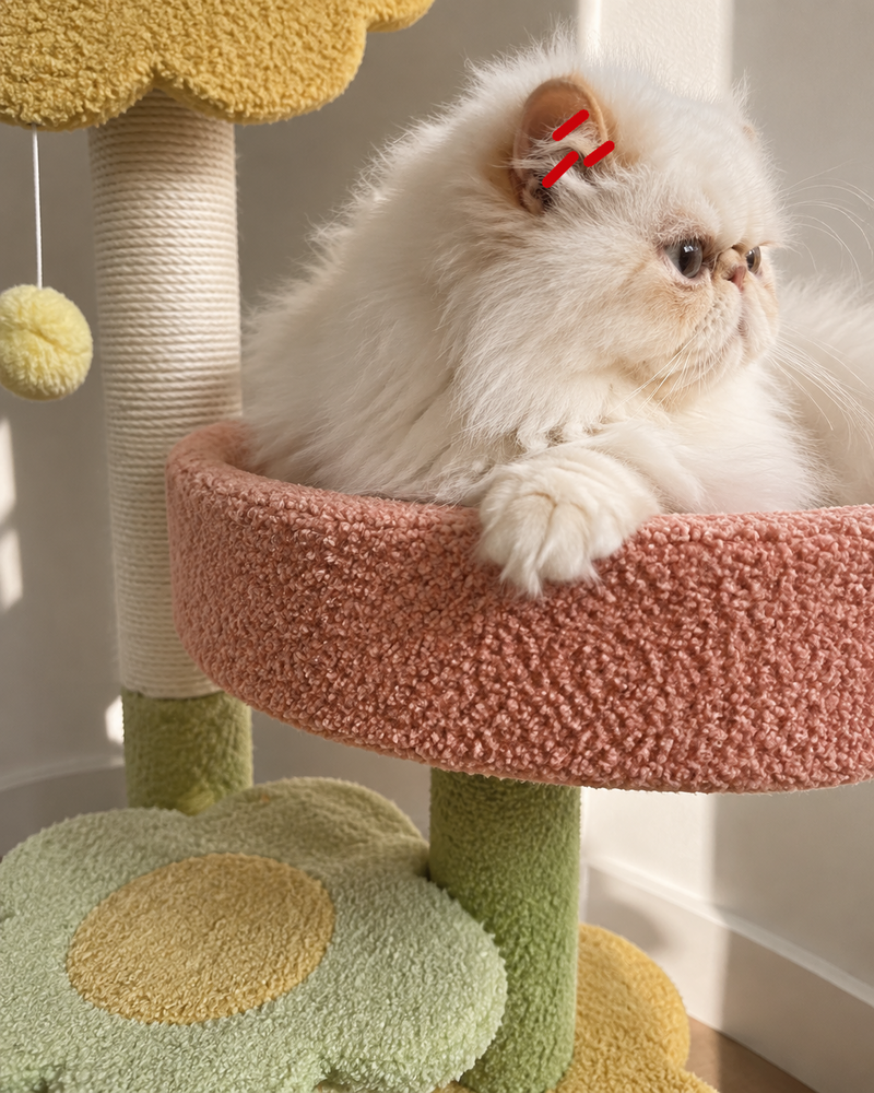 Arbre a chat fleur