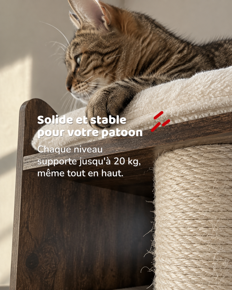 Solide et stable pour votre patoon — arbre à chat design luxe