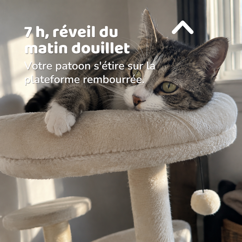 Arbre a chat beige