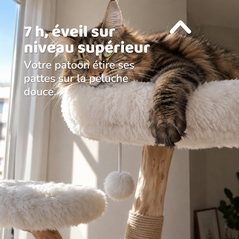 Arbre a chat de luxe
