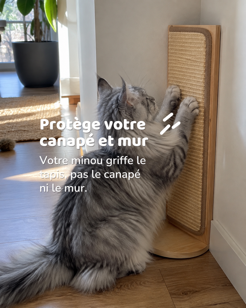 Griffoir d'angle