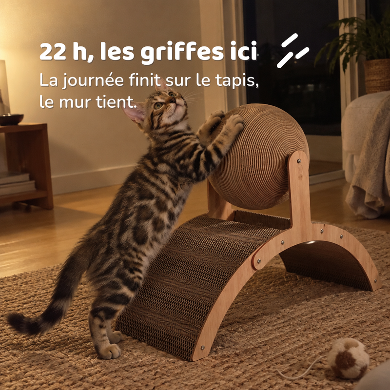 22 h, les griffes ici — Griffoir chat original