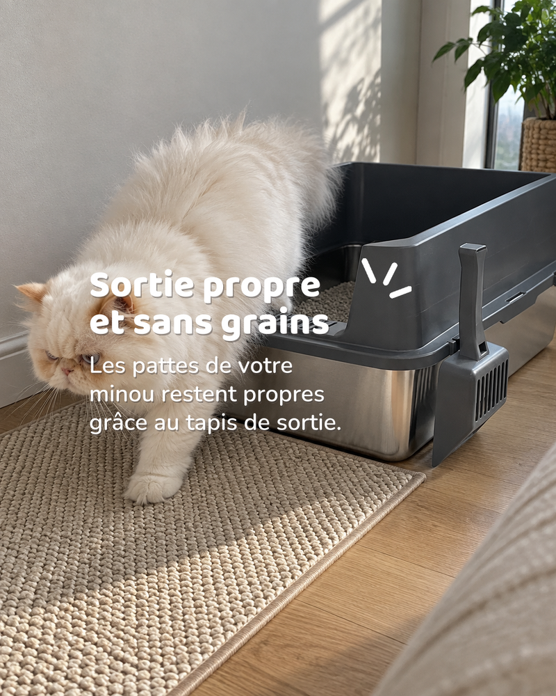 Sortie propre et sans grains — bac à litière grand chat