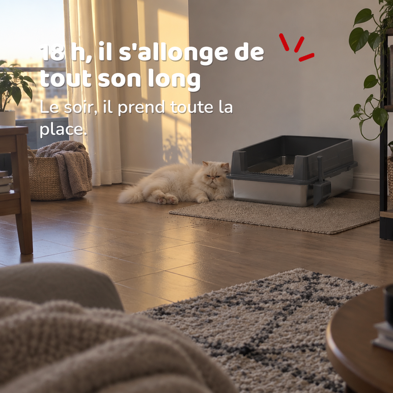 Bac à litière grand chat