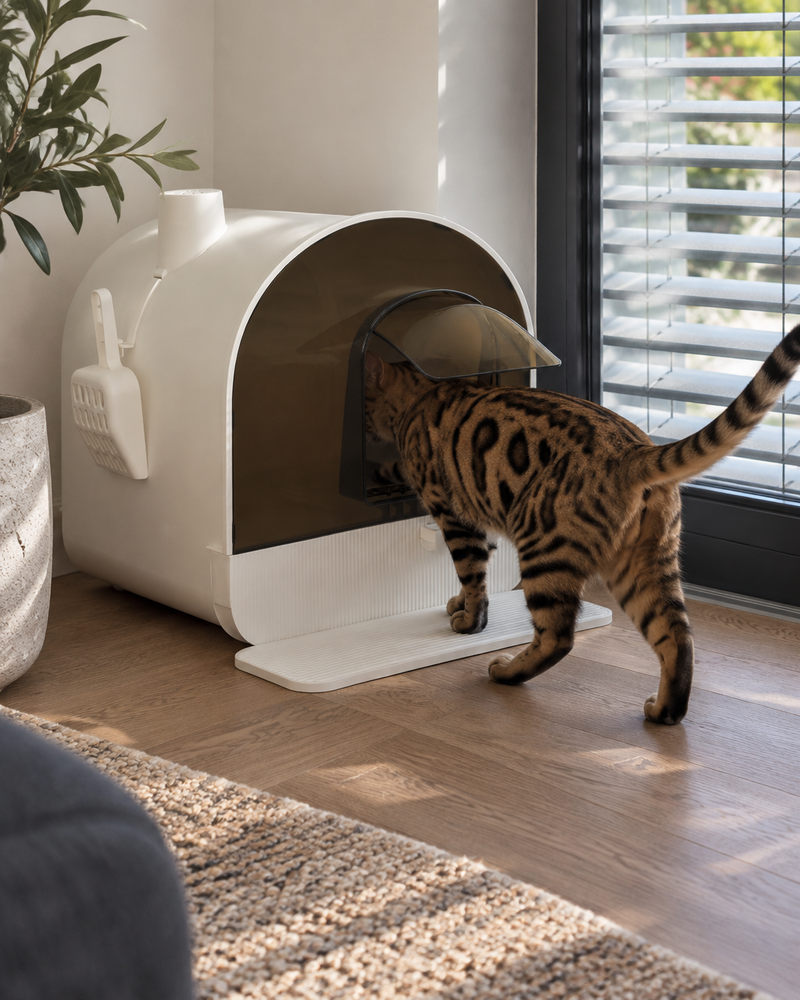 Photo principale — Maison de toilette pour chat design