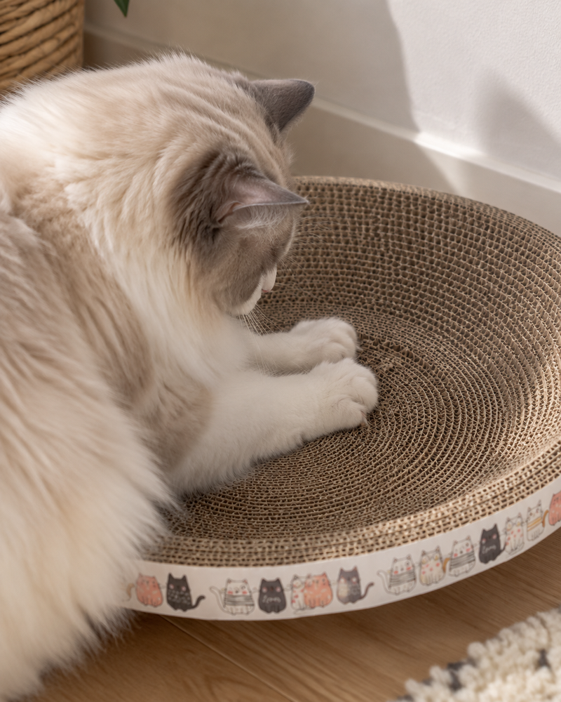Il va griffer juste à côté. · 40cm — Griffoir chat carton rond