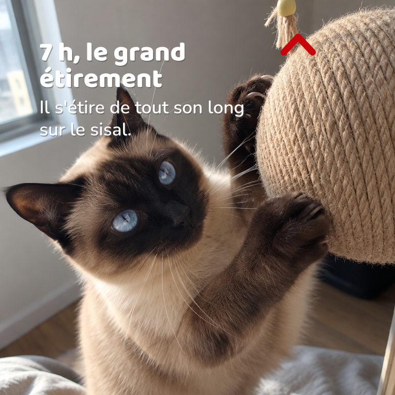 Boule griffoir chat