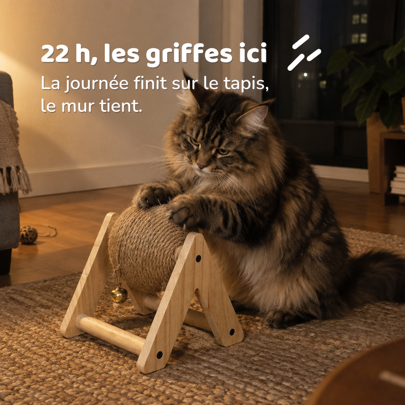 Griffoir chat rond