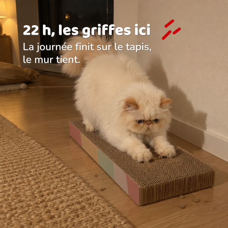 Griffoir vague chat