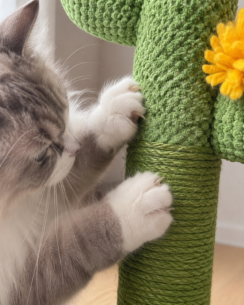 La matière sera détruite en quelques jours. · cactus — Griffoir cactus