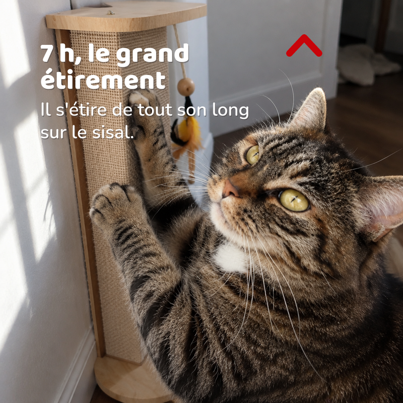 7 h, le grand étirement — Griffoir d'angle en sisal