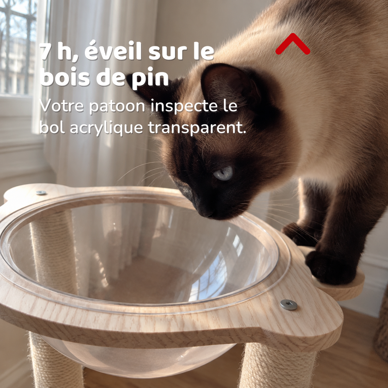 Arbre a chat minimaliste
