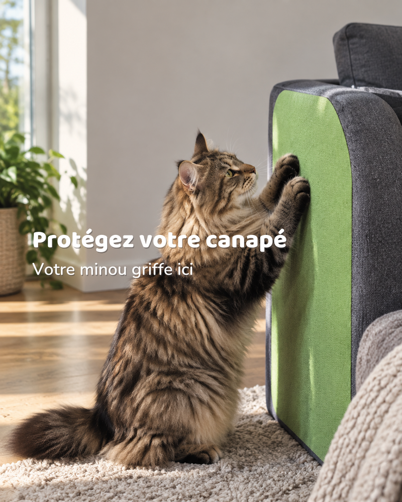 Photo · 4 — Tapis griffoir chat canapé