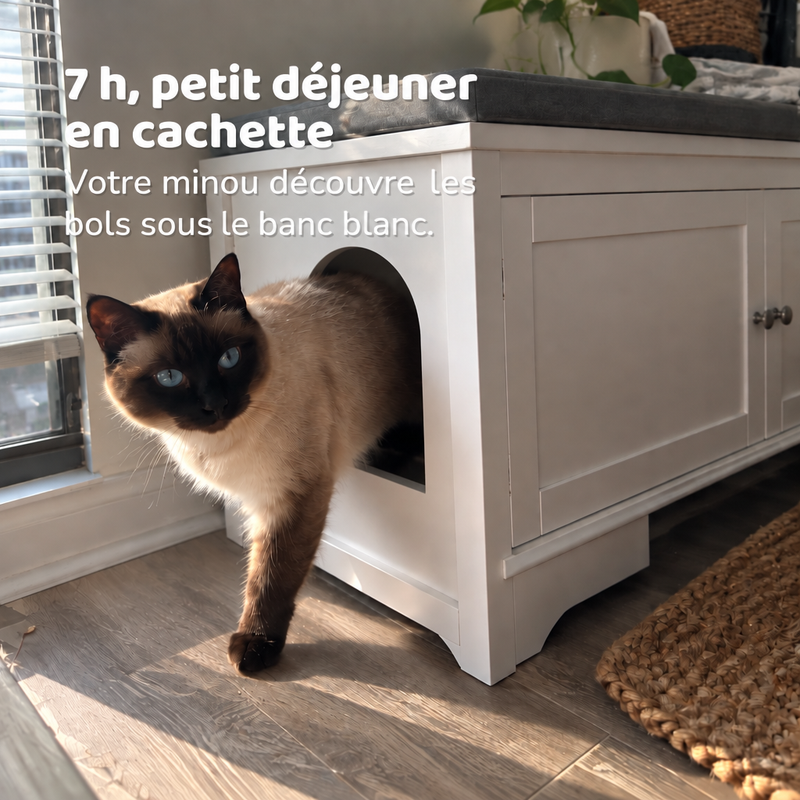 7 h, petit déjeuner en cachette — banc de toilette pour chat