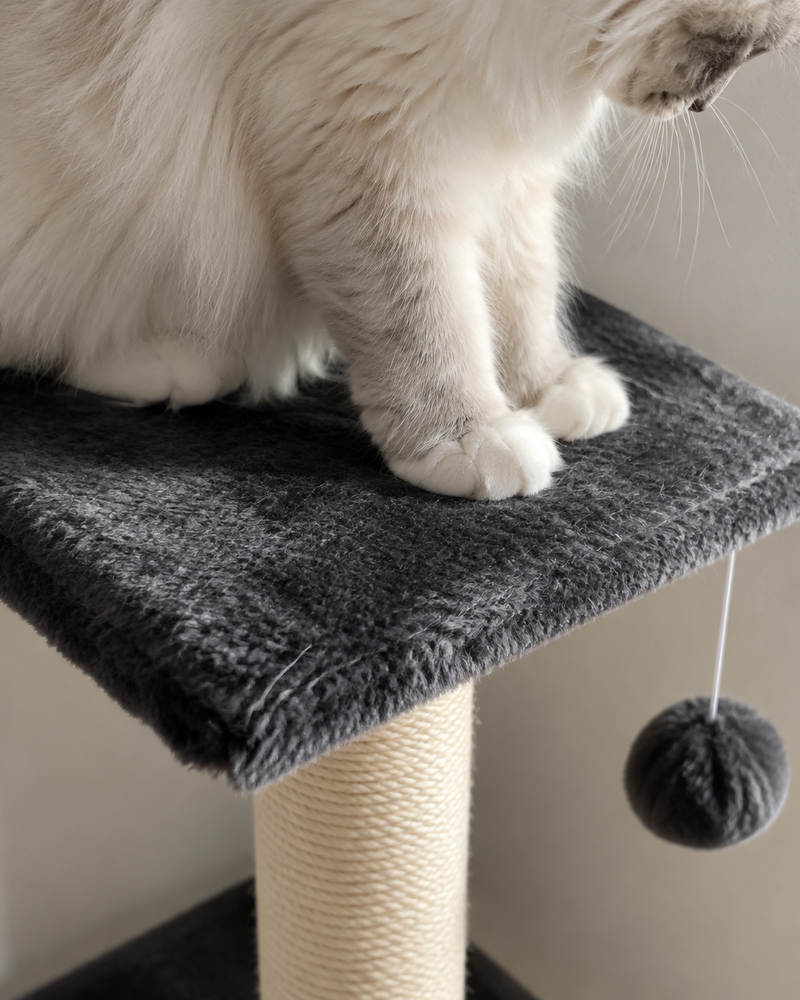 Il va s'effondrer sous le poids du chat. · GRAY — mini arbre a chat