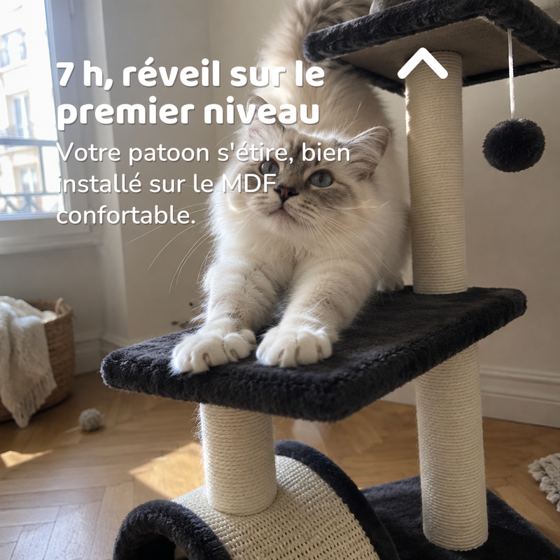 Mini arbre a chat