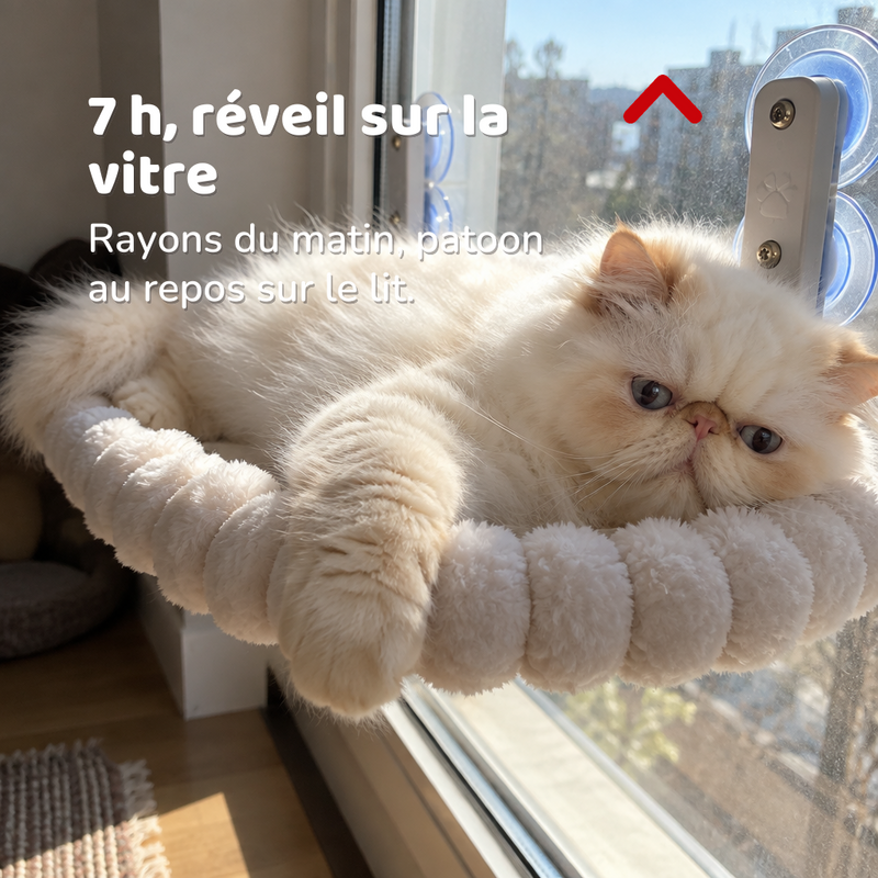 7 h, réveil sur la vitre — lit chat suspendu