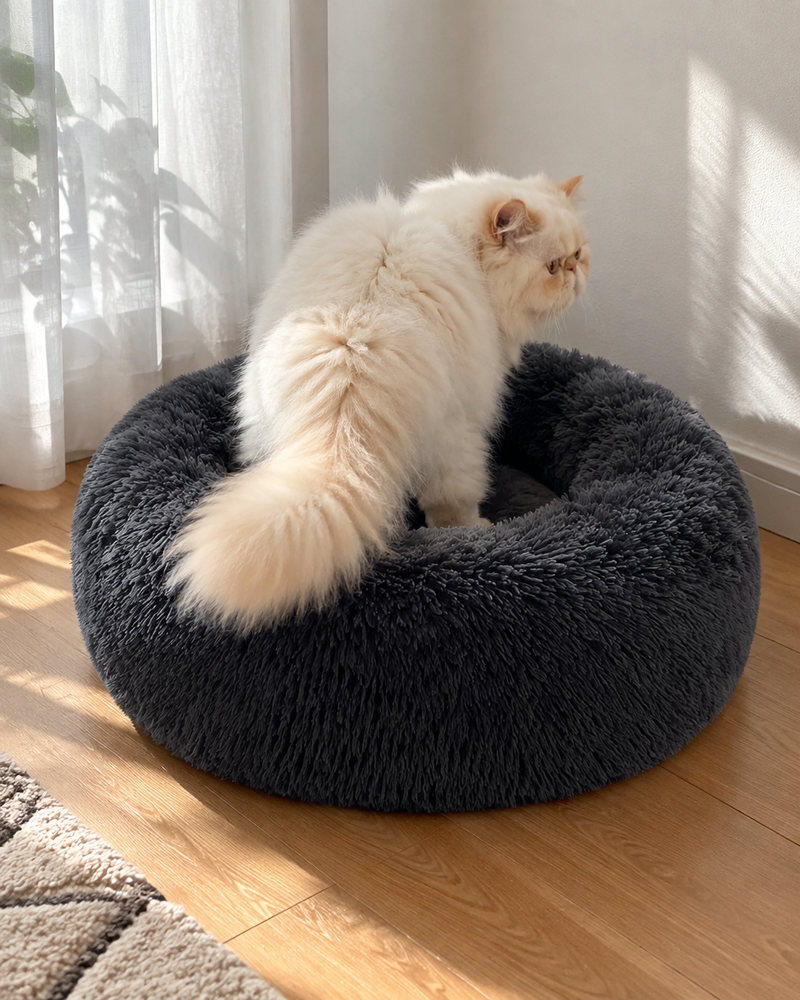 Variante · Dark Gray / XL(70x70cm) / China Mainland — lit apaisant chat