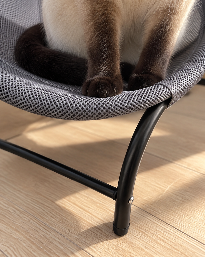 Ça bascule. · Poland — fauteuil suspendu pour chat