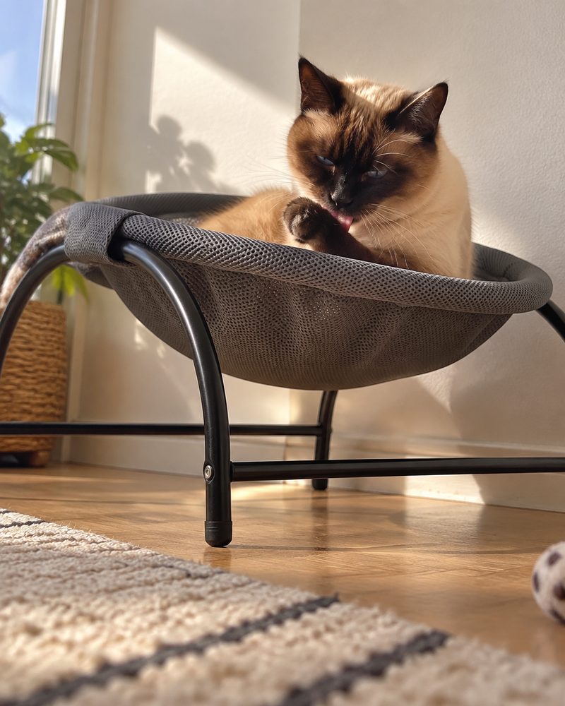 La matière. · Poland — fauteuil suspendu pour chat