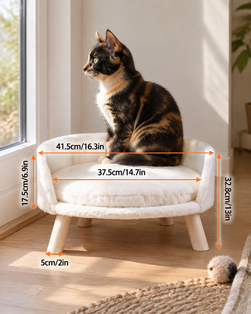 Photo · 7 — fauteuil pour chat
