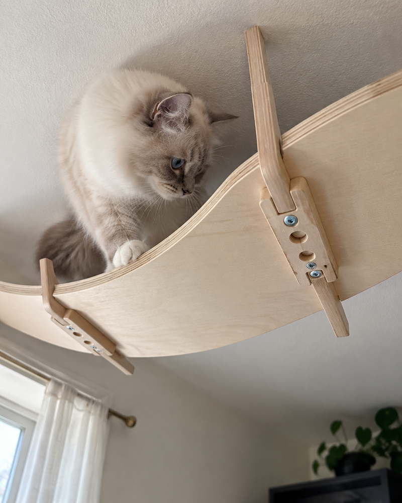 Il est trop haut pour mon plafond. · Option 2 — arbre à chat plafond bois