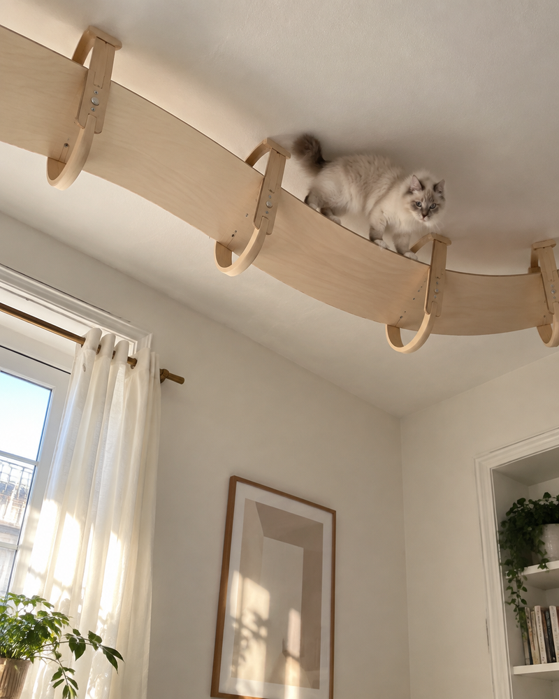 Le revêtement va perdre partout. · Option 2 — arbre à chat plafond bois